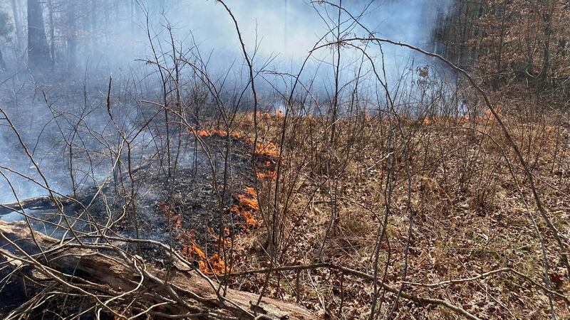 FILE — Firefighters found the body of a man while working a natural cover fire on Wednesday.
