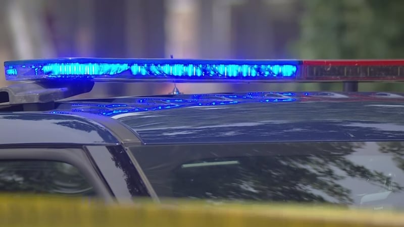 File - Police lights in Kansas City, Missouri.
