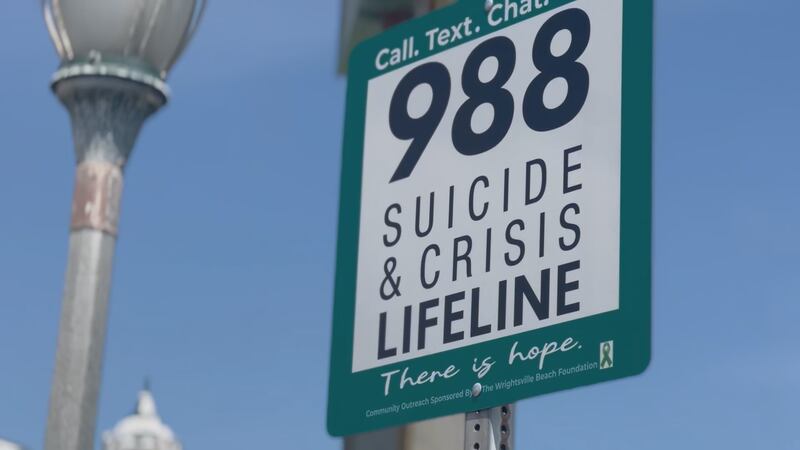 According to the foundation, suicide is the second leading cause of death in youth in North...