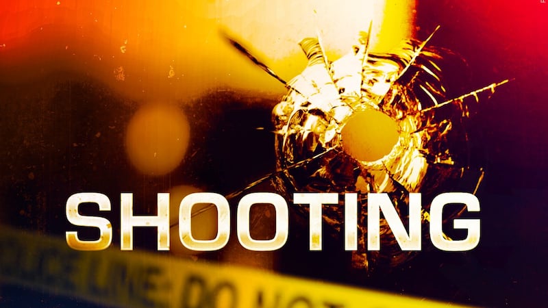 Shooting in Minot