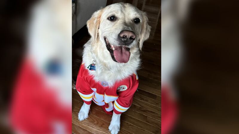 Lauren Parr named her dog Kelce, after the Kansas City Chiefs' tight end. Kelce is now the...