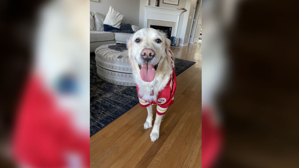Lauren Parr named her dog Kelce 5 years ago. Rover.com says Kelce is currently the...