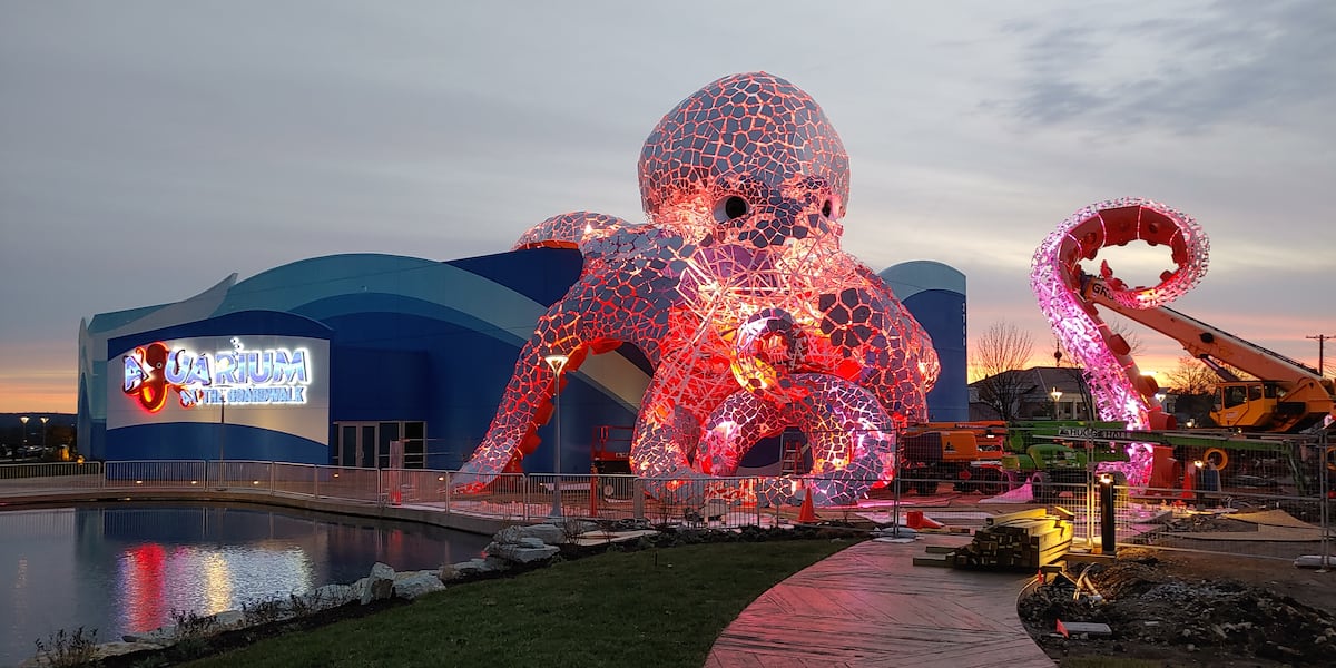 Missouri aquarium named 9th in most beautiful to visit in U.S.