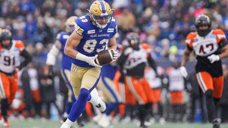Kansas State and Blue Valley Northwest alum Dalton Schoen has made a name for himself in the...