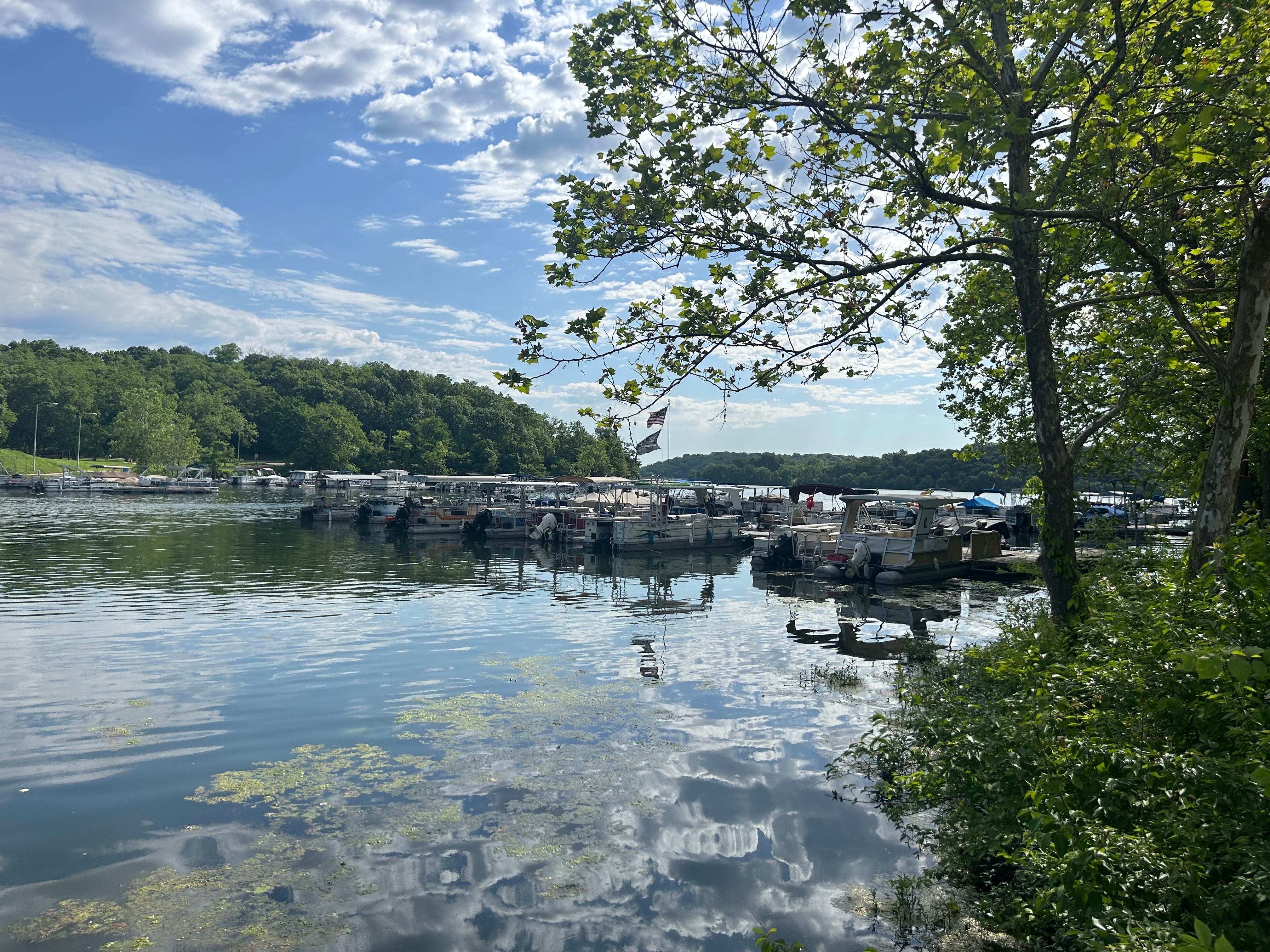 Wyandotte County Lake and Park reopens three days after severe weather cleanup started - Vimarsana News